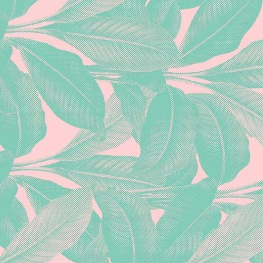 Meet your Posher, Niah